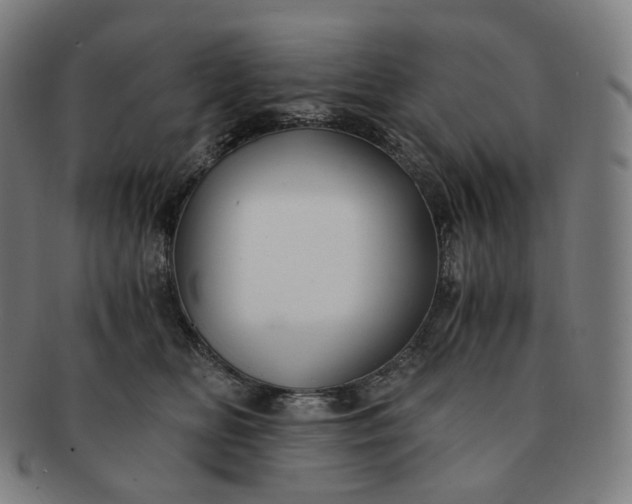 X0000091300518200708241054