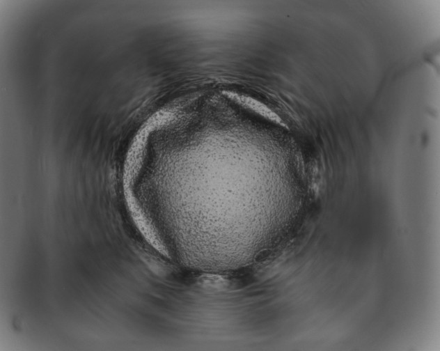 X0000091300519200708241054