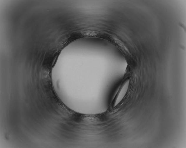 X0000091300521200708241054