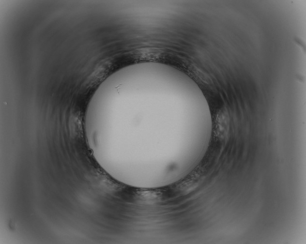 X0000091300522200708241054