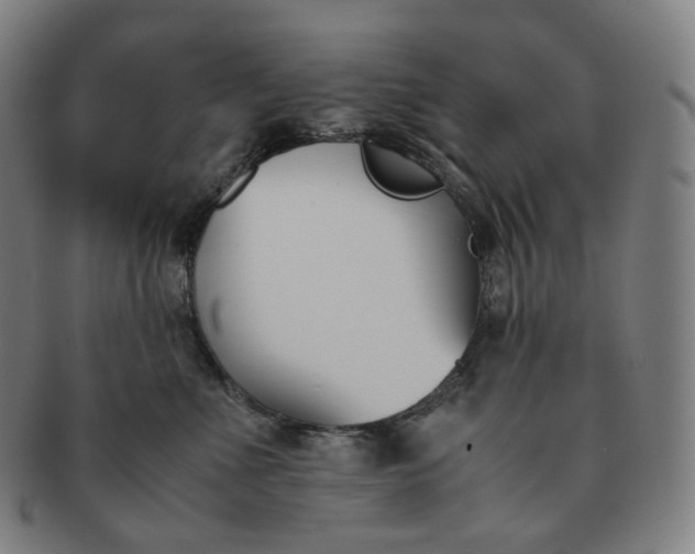 X0000091300523200708241054