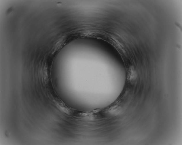 X0000091300524200708241054