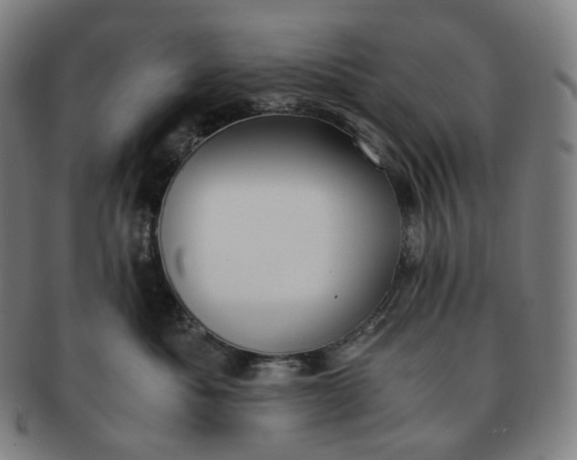 X0000091300525200708241054