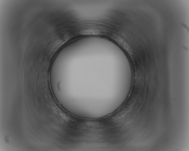 X0000091300529200708241053