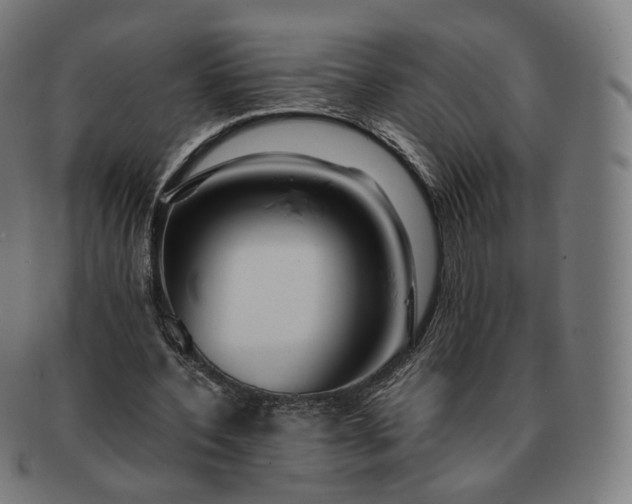 X0000091300532200708241053