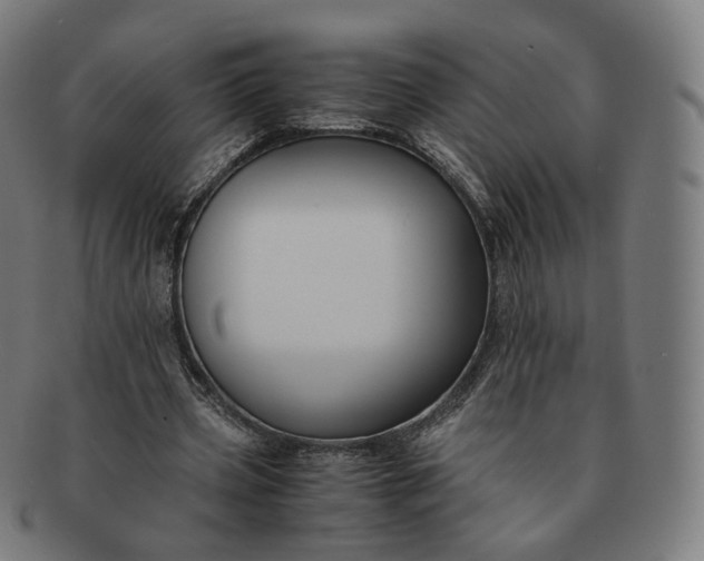 X0000091300533200708241053