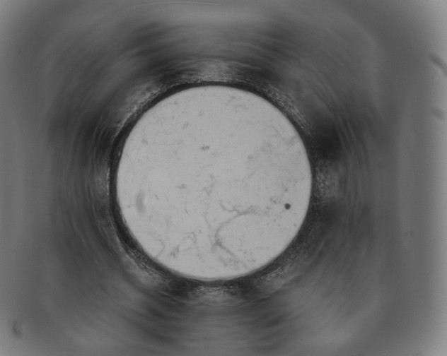 X0000091300534200708241053