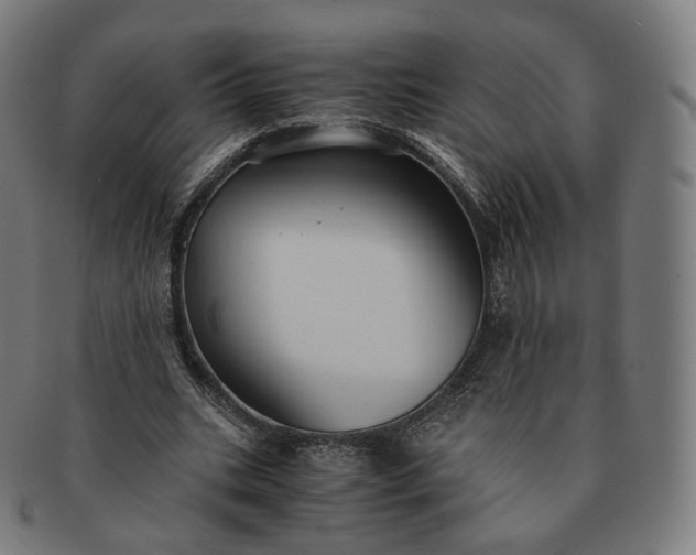 X0000091300535200708241053