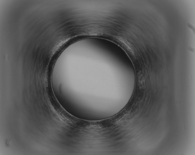 X0000091300536200708241053