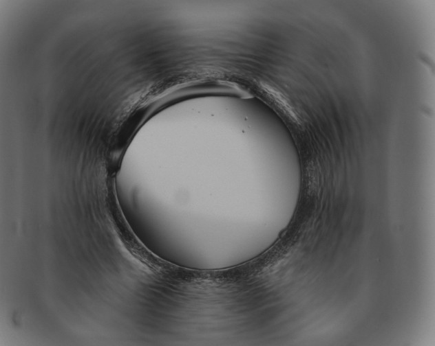 X0000091300538200708241053