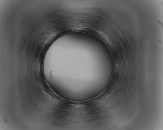 X0000091300539200708241053