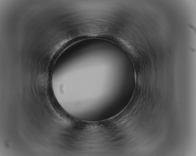 X0000091300540200708241053