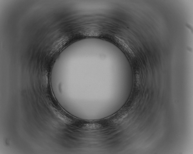 X0000091300541200708241053