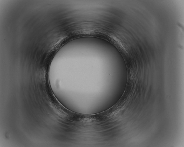 X0000091300542200708241053