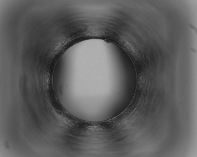 X0000091300544200708241053