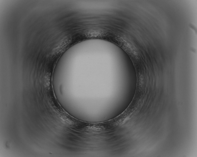 X0000091300545200708241053