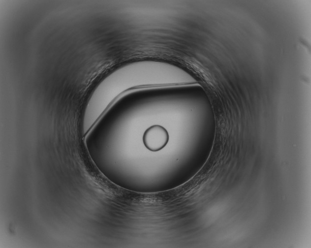 X0000091300546200708241053