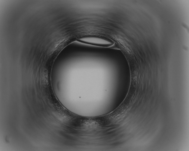 X0000091300547200708241053