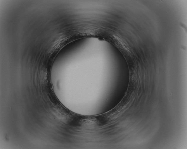 X0000091300548200708241053