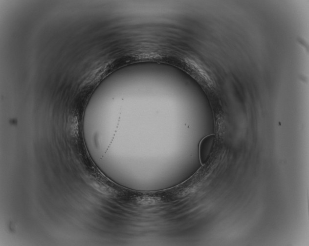 X0000091300549200708241053