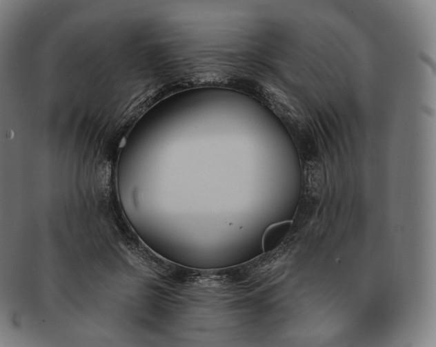 X0000091300550200708241053