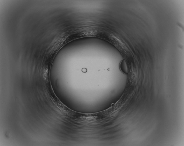 X0000091300553200708241054