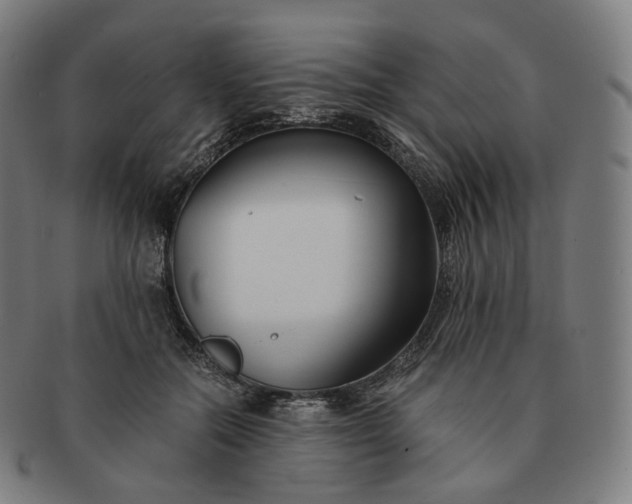 X0000091300554200708241054