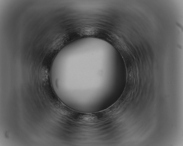 X0000091300555200708241054