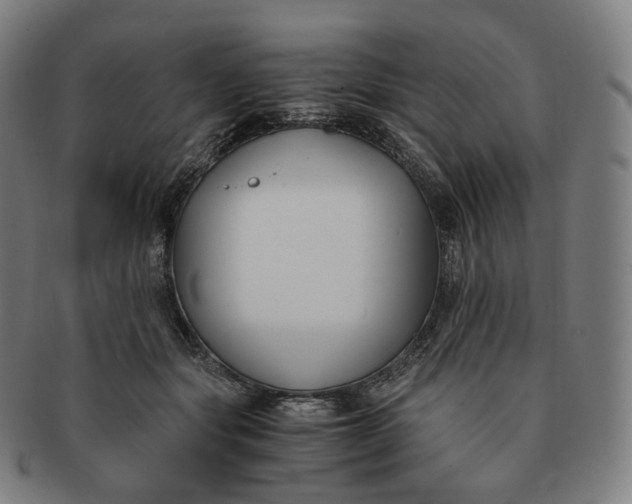 X0000091300557200708241054