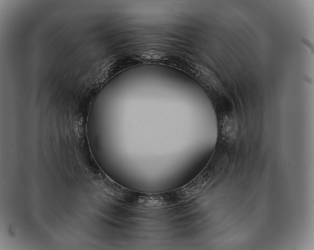 X0000091300559200708241054