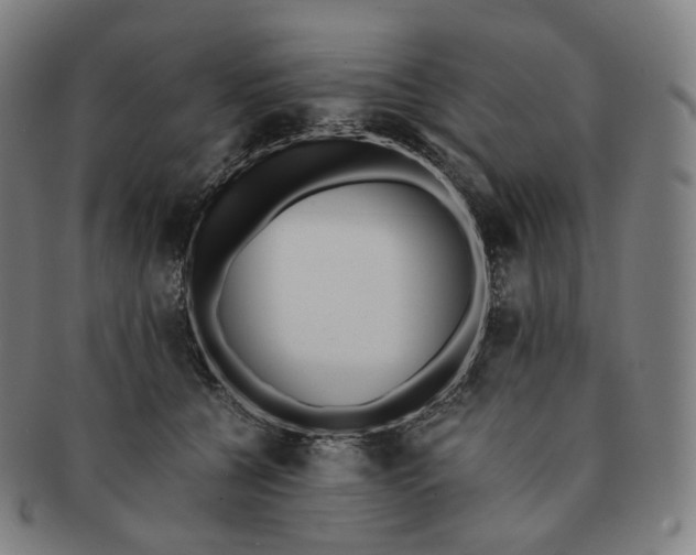 X0000091300560200708241054