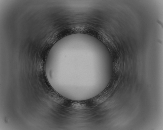 X0000091300561200708241054