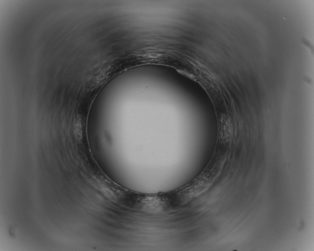 X0000091300562200708241054