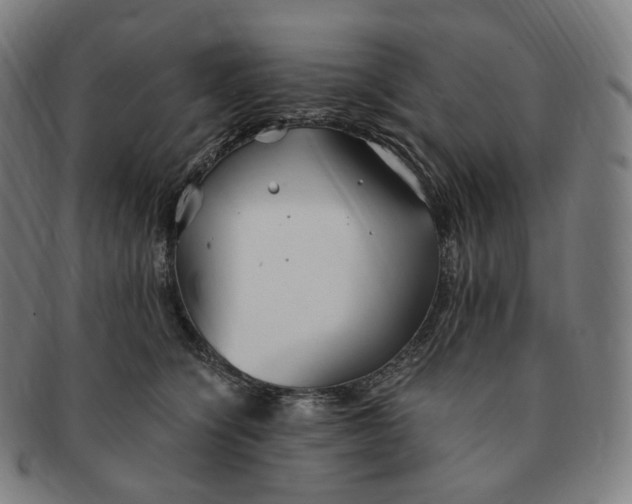 X0000091300564200708241054