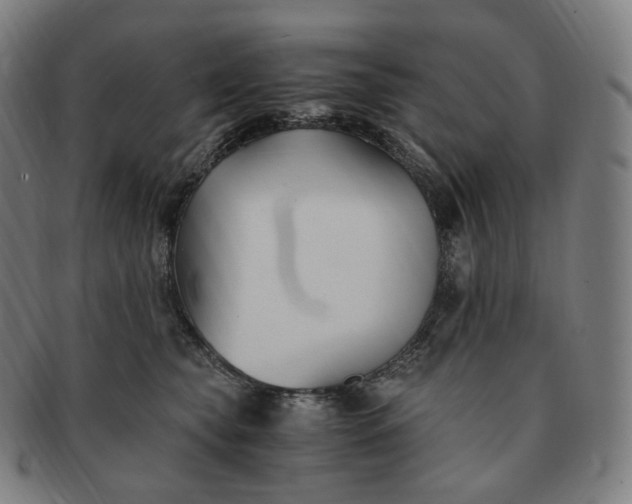 X0000091300565200708241054