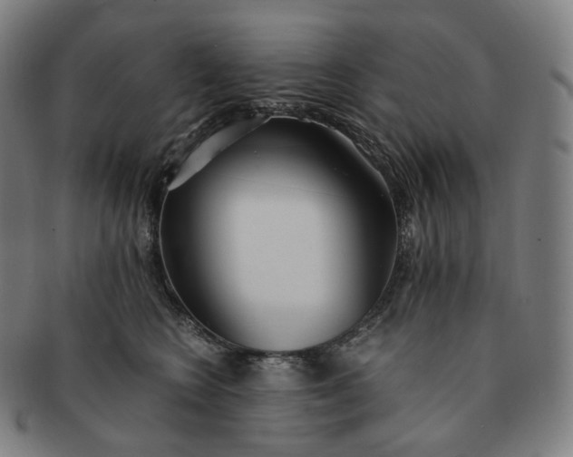 X0000091300566200708241054