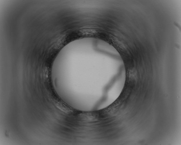 X0000091300567200708241054