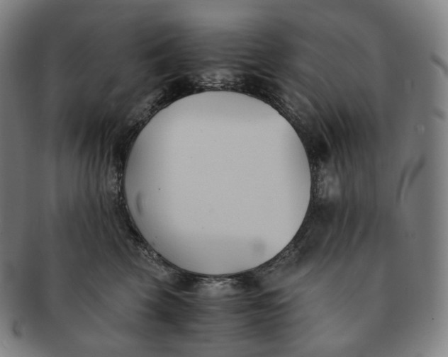 X0000091300569200708241054