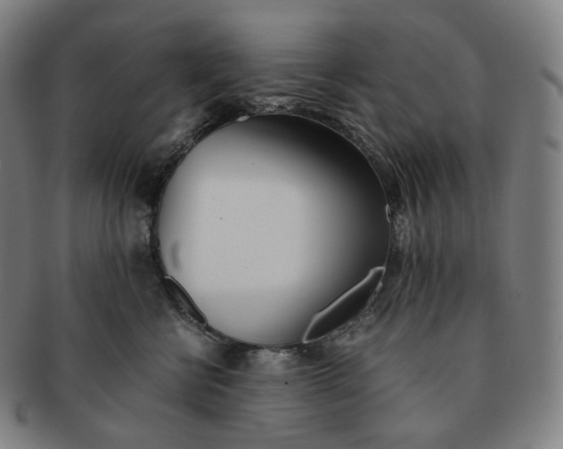 X0000091300570200708241054