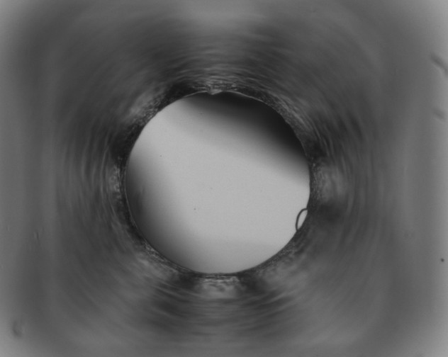 X0000091300571200708241054