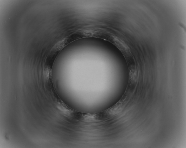 X0000091300574200708241054