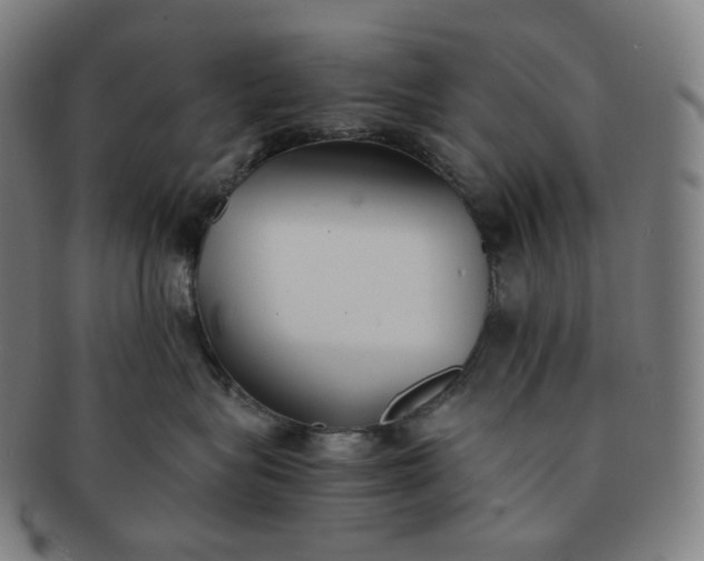 X0000091300575200708241054