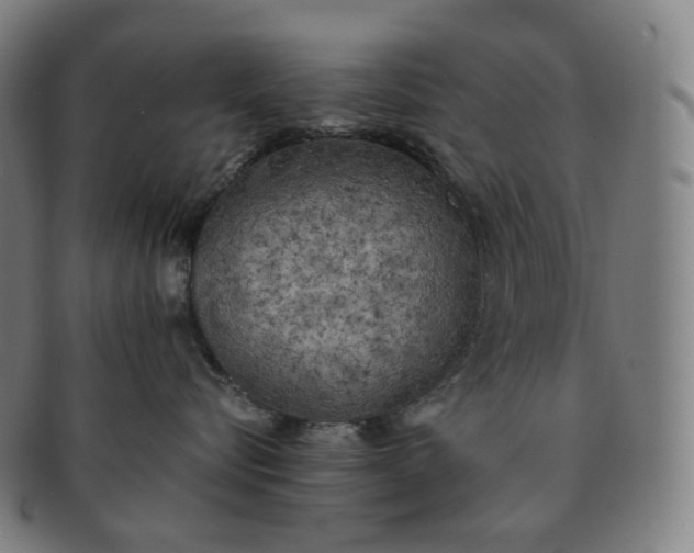 X0000091300576200708241054