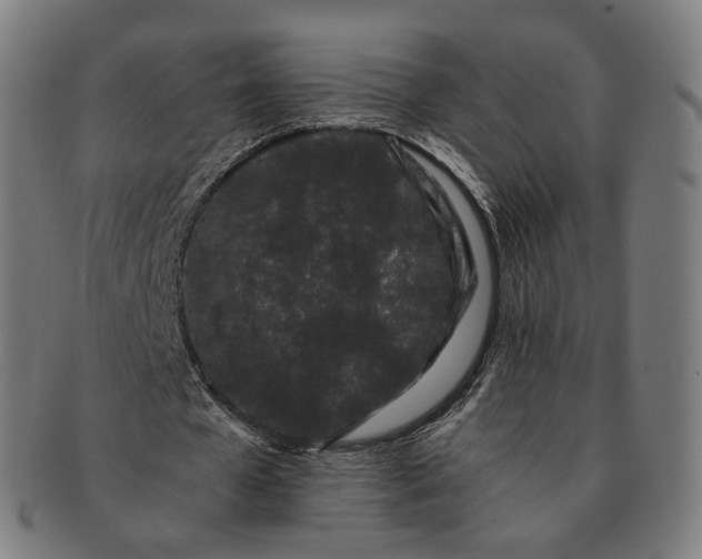 X0000091300577200708241053