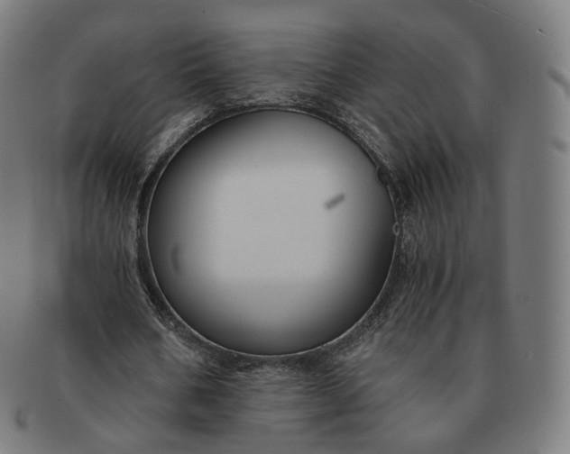 X0000091300578200708241053