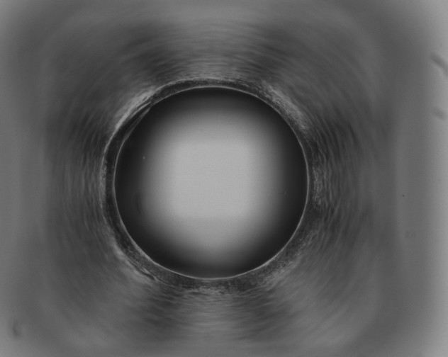 X0000091300580200708241053