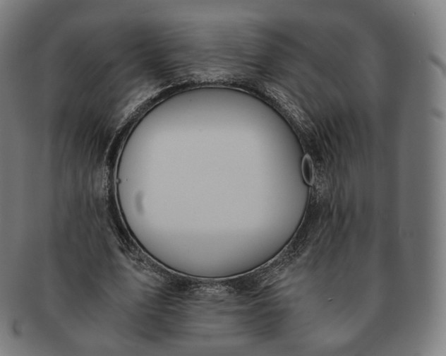 X0000091300583200708241053