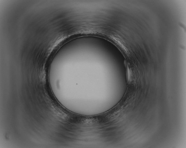 X0000091300584200708241053