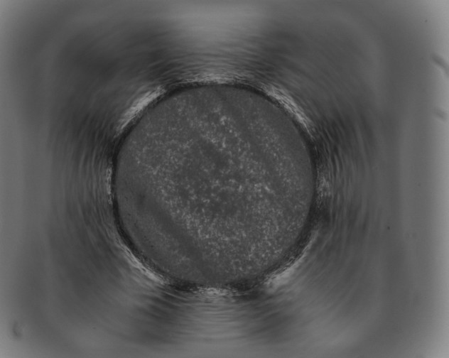 X0000091300585200708241053