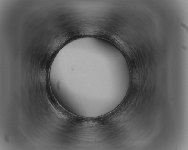 X0000091300586200708241053